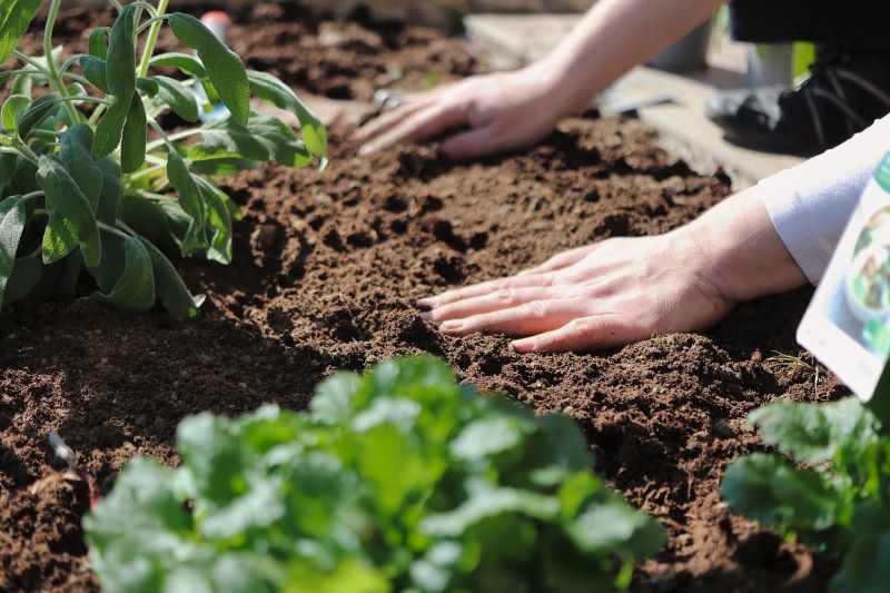 Garden Therapy: i 7 benefici del giardinaggio