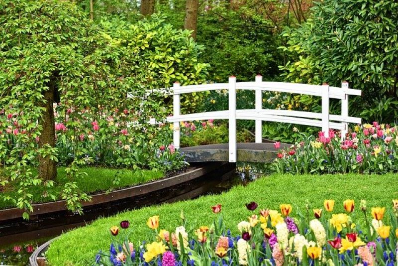 Garden Therapy: i 7 benefici del giardinaggio