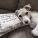 15 idee per creare uno spazio dog friendly in casa